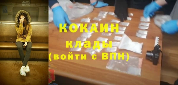 твердый Алексин