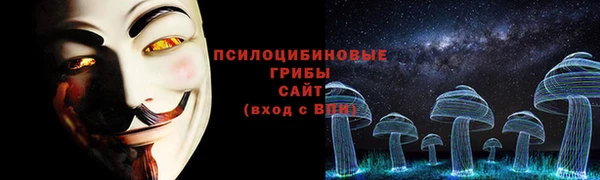 стафф Алексеевка