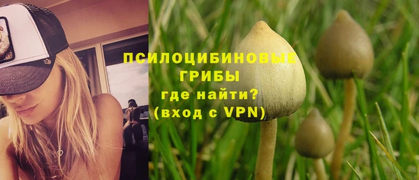 МДПВ Алзамай