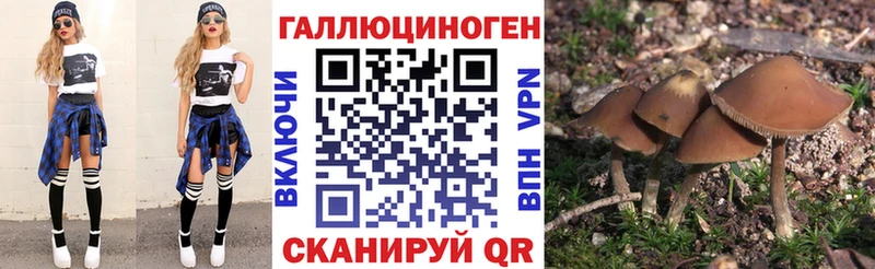 ОМГ ОМГ онион  Задонск  Галлюциногенные грибы Psilocybe 